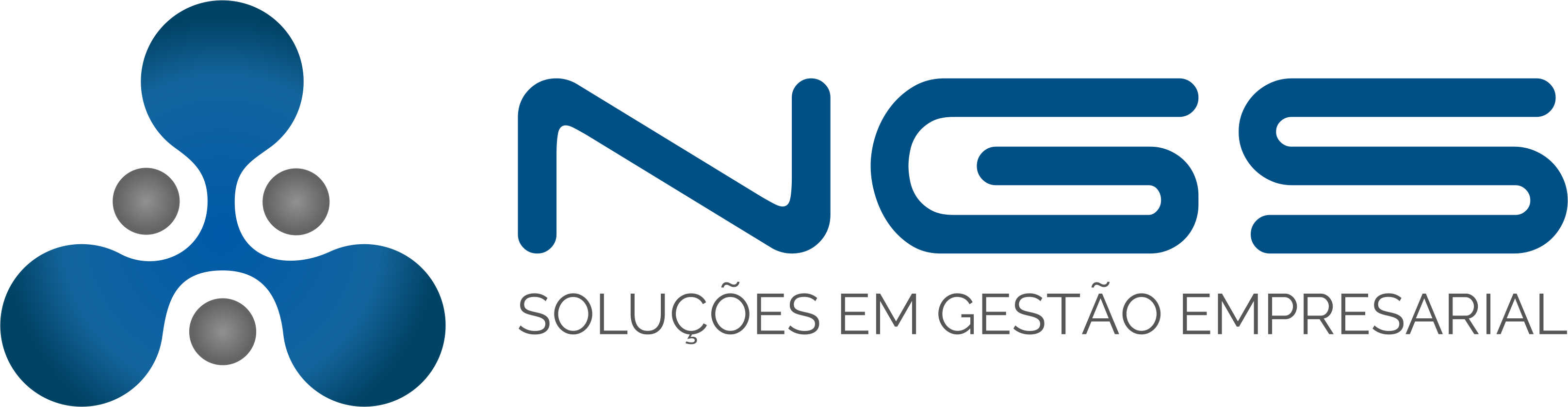 NGS Soluções Ltda
